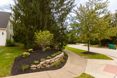hoa planting beds 3