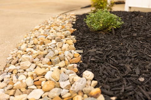 hoa planting beds 7