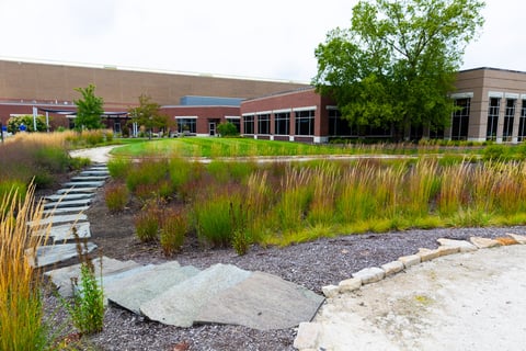 paver walkway through landscape beds 1