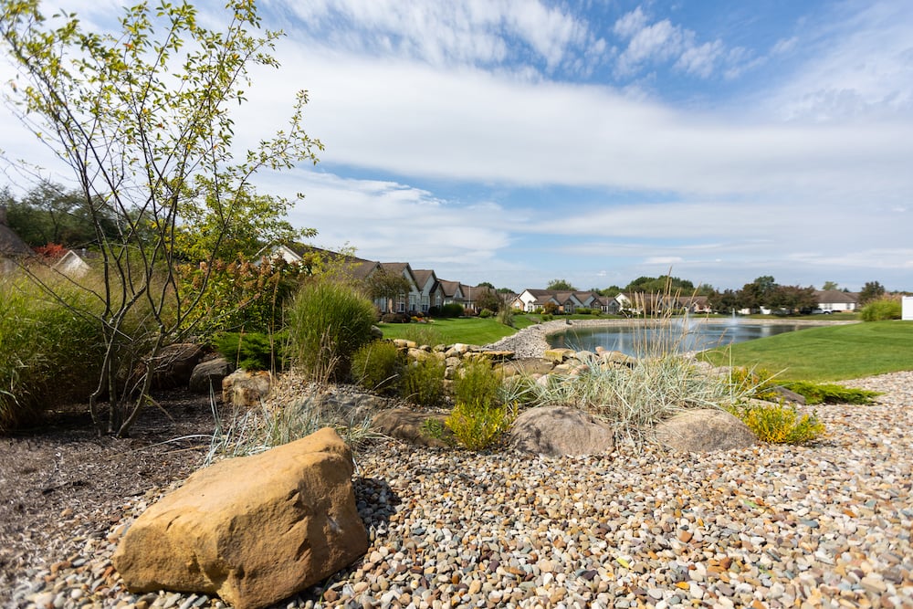 planting bed with stone near pond