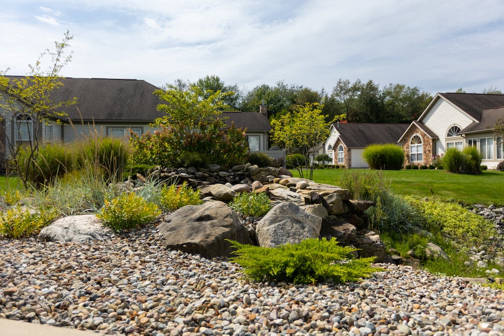 rock plant bed