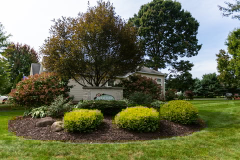 stratford green HOA plant bed