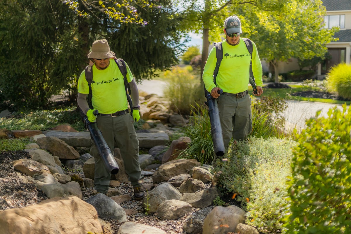 landscape maintenance professionals blowing debris near rocks and plantings