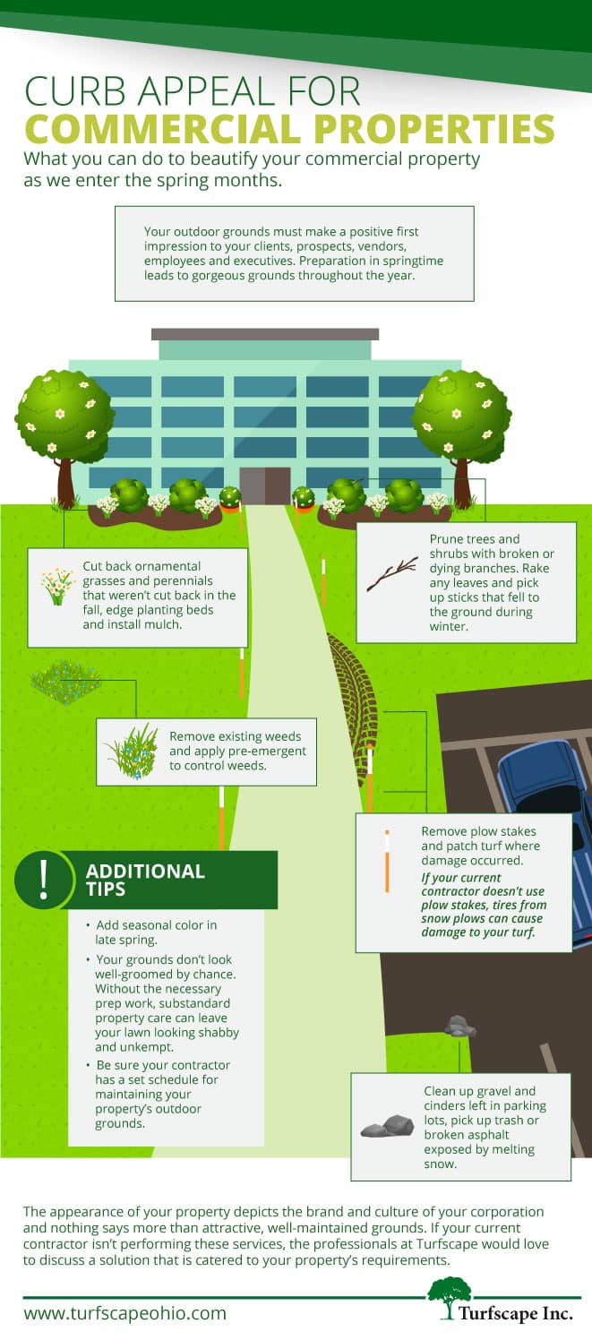 Infographic Curb Appeal for Commercial Properties.jpg