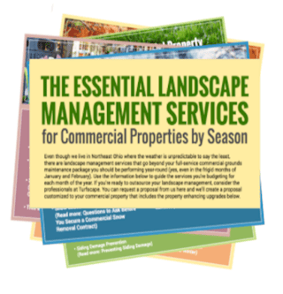 landscape-management-services.png