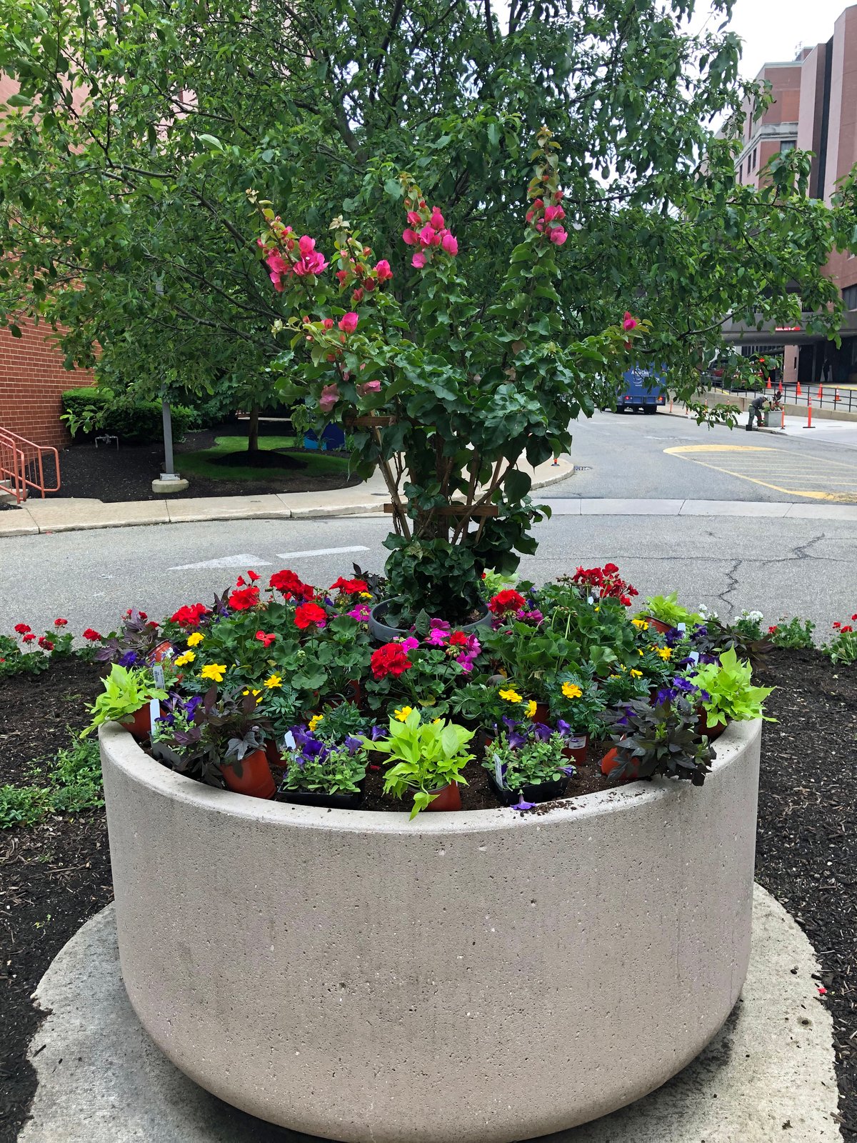 container garden on commercial property