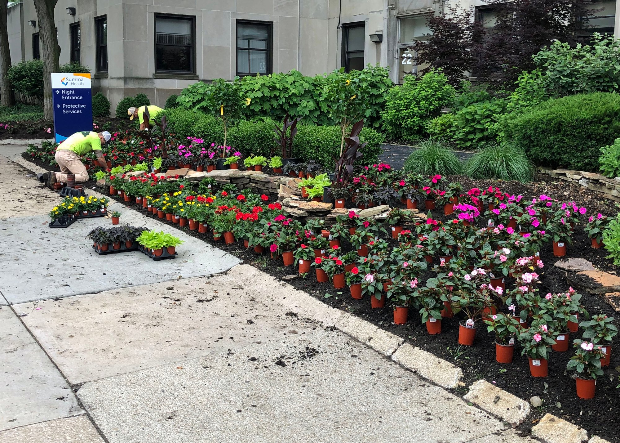 Commercial team planting summer annuals