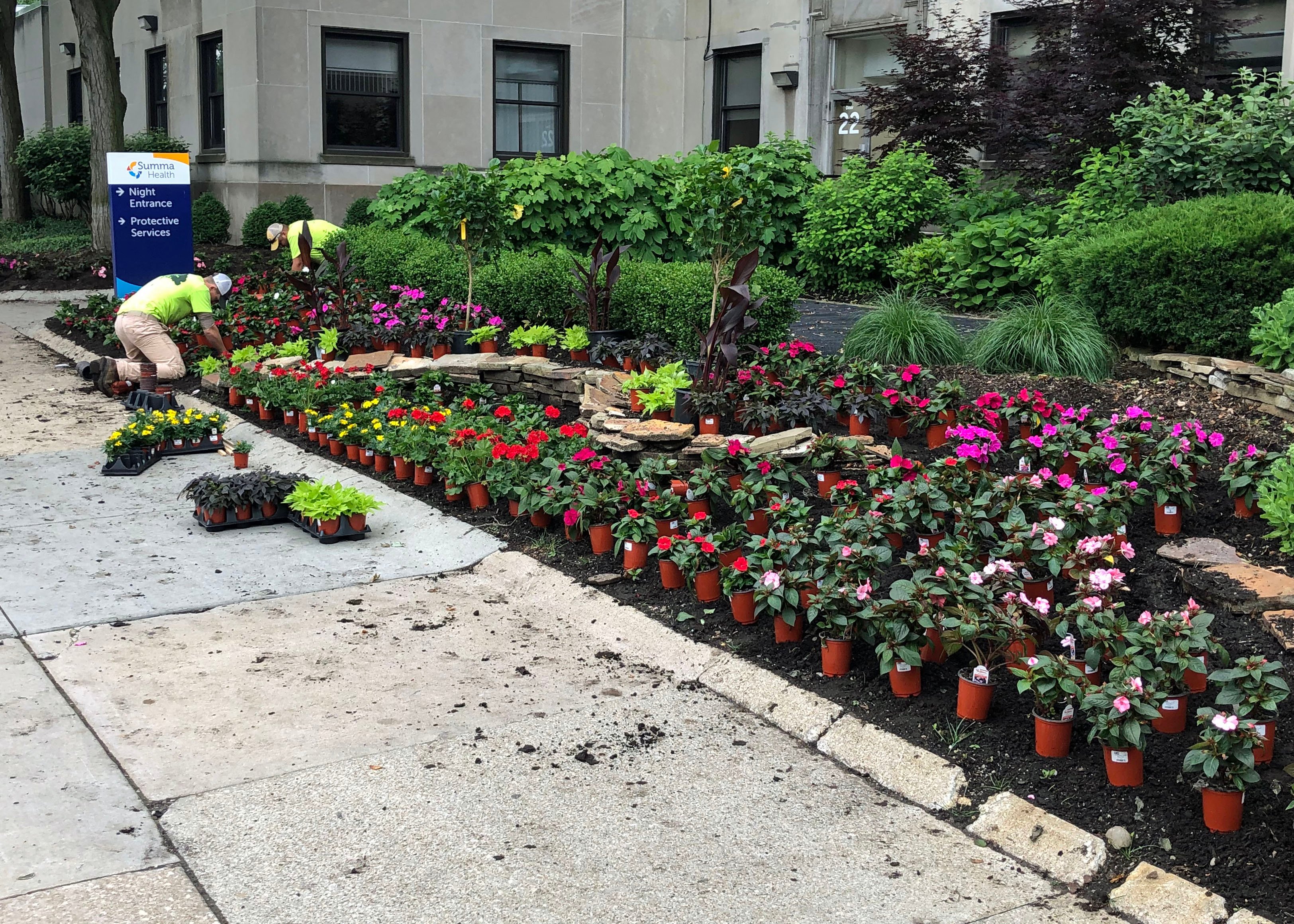 landscape team plants annual flowers