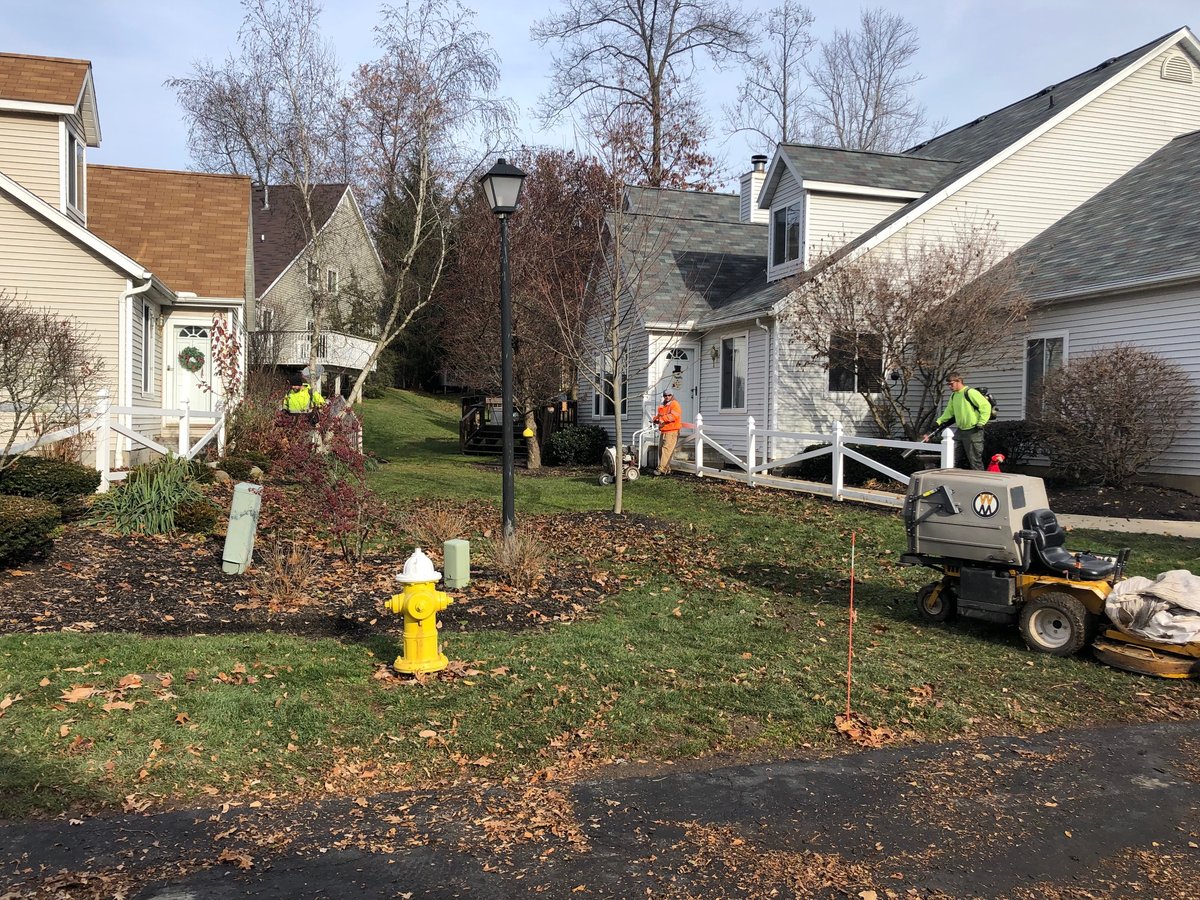 commercial property fall leaf cleanup