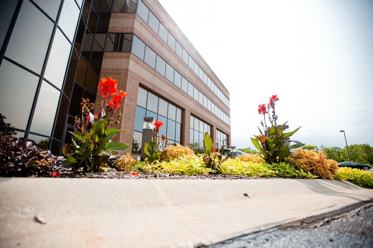 Commercial building entrance with annual planting