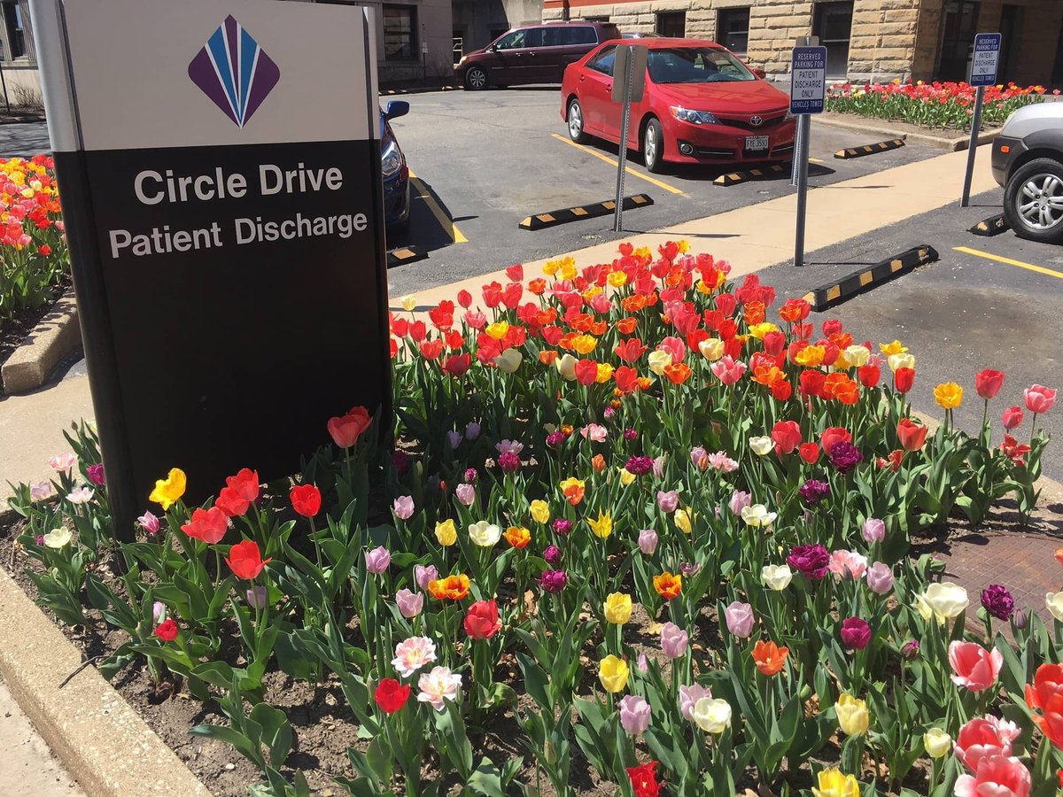 Flowers around hospital signage