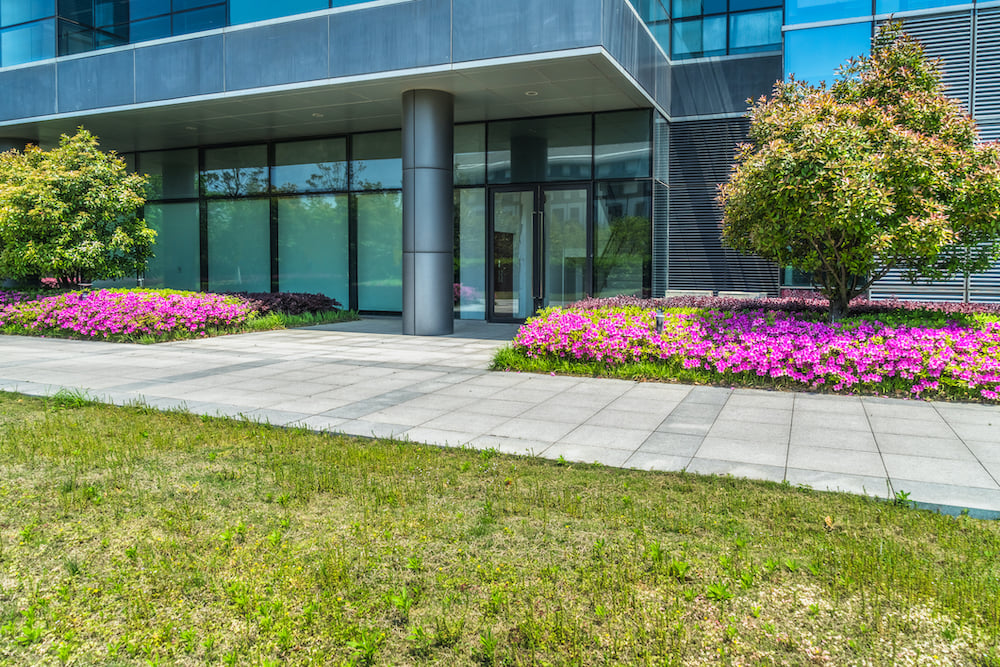 annual planted in landscape beds at commercial property