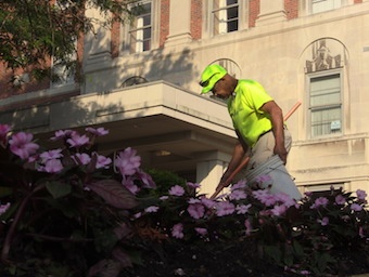 commercial-properties-reduce-carbon-footprint.jpg