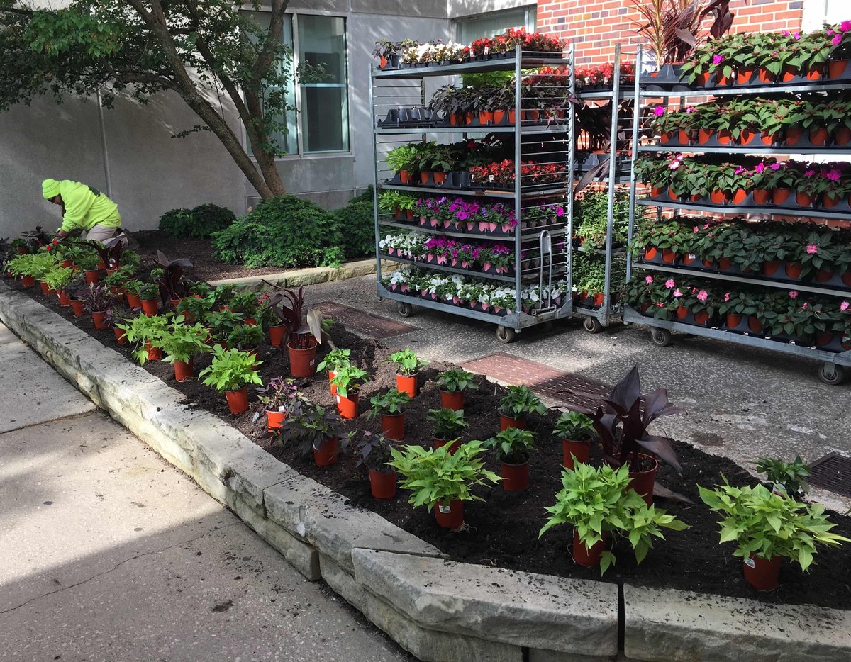 landscape crew stage and install annual plantings at a commercial property