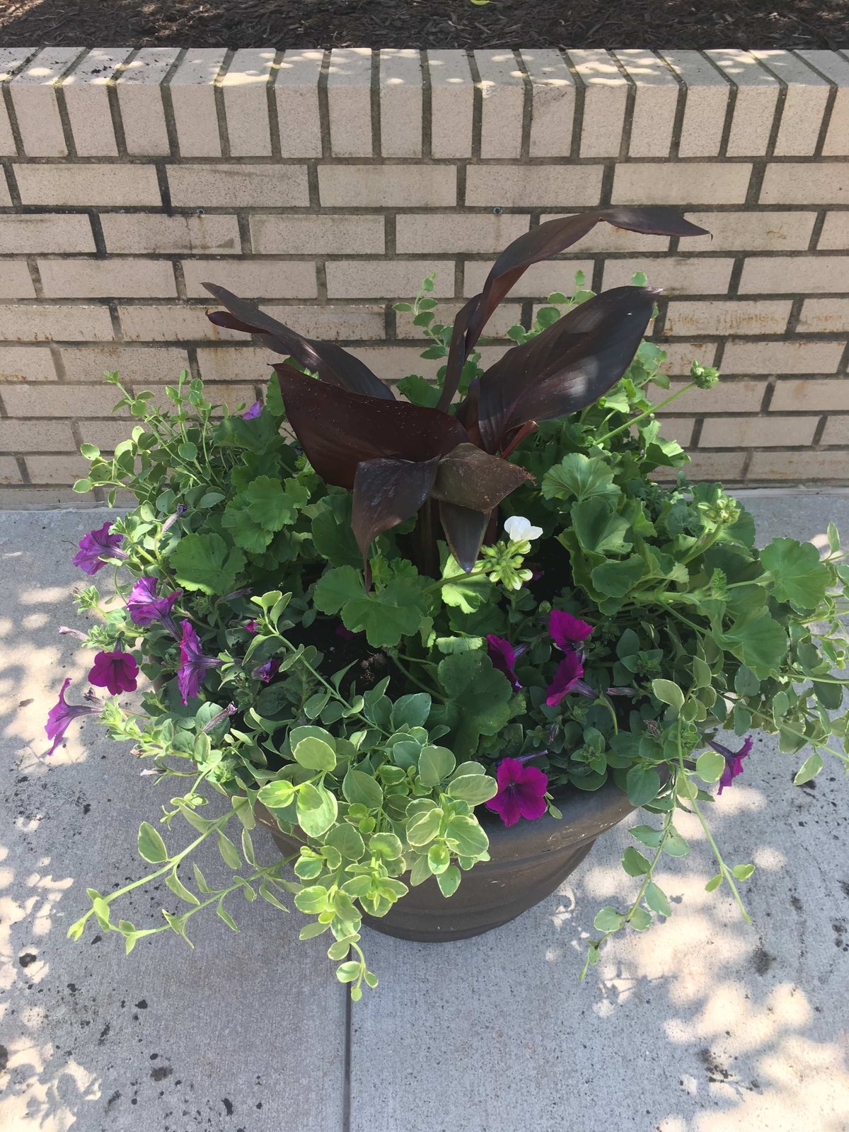 container garden on commercial property