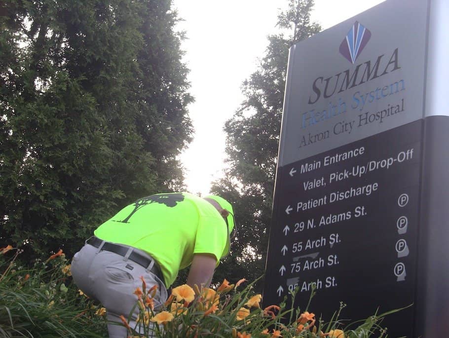 Signage landscaping maintenance