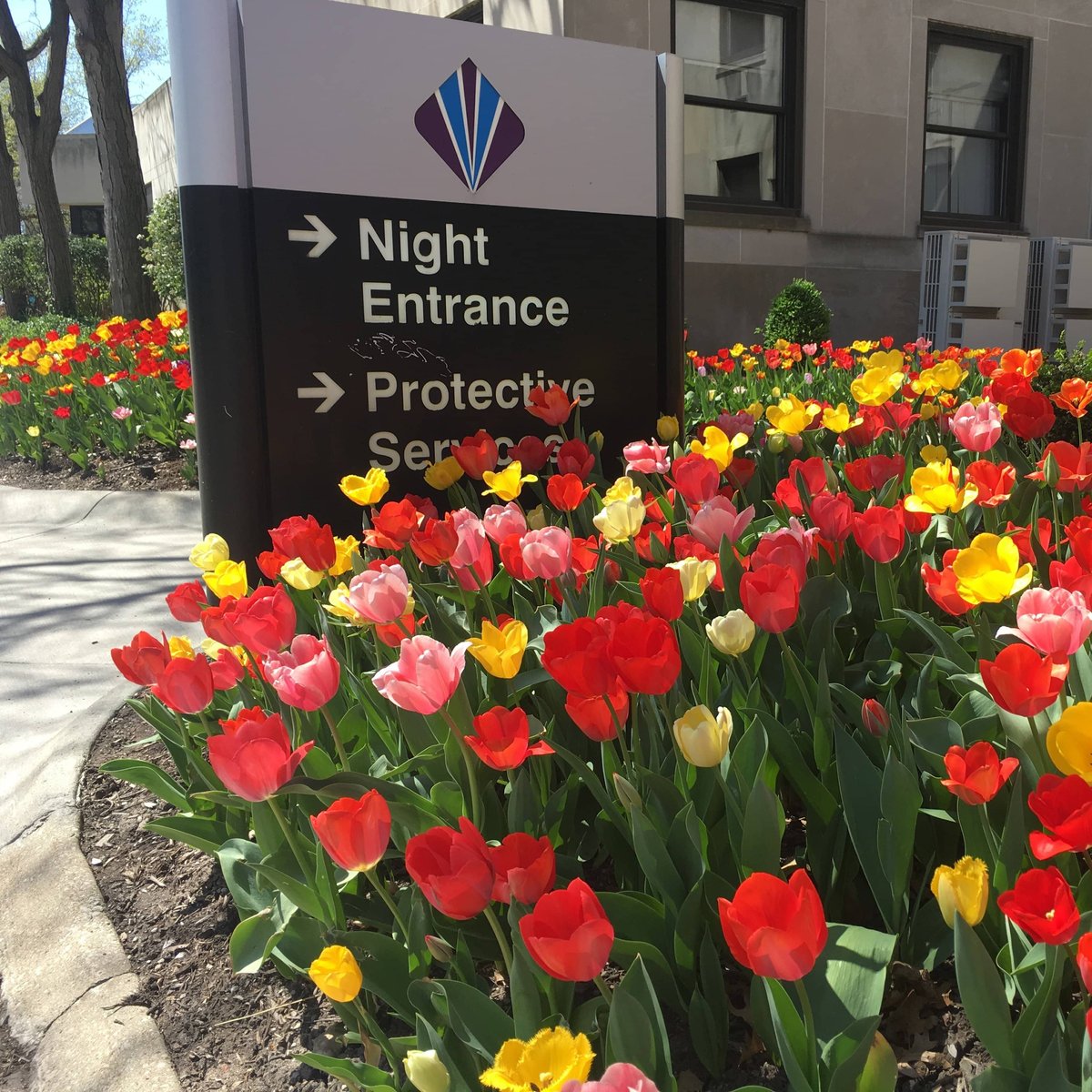 Hospital entrance sign with landscaping flowers