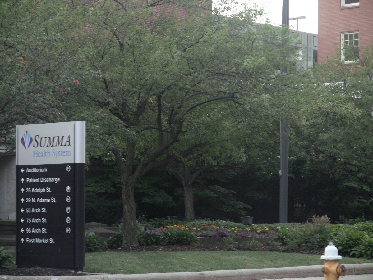 Trees and plants near hospital sign