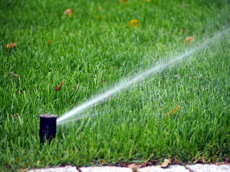 sprinkler head watering grass