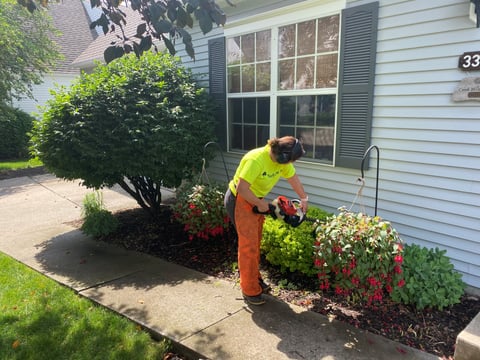 Gill Pruning