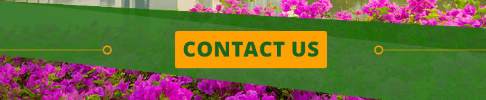 Contact Turfscape