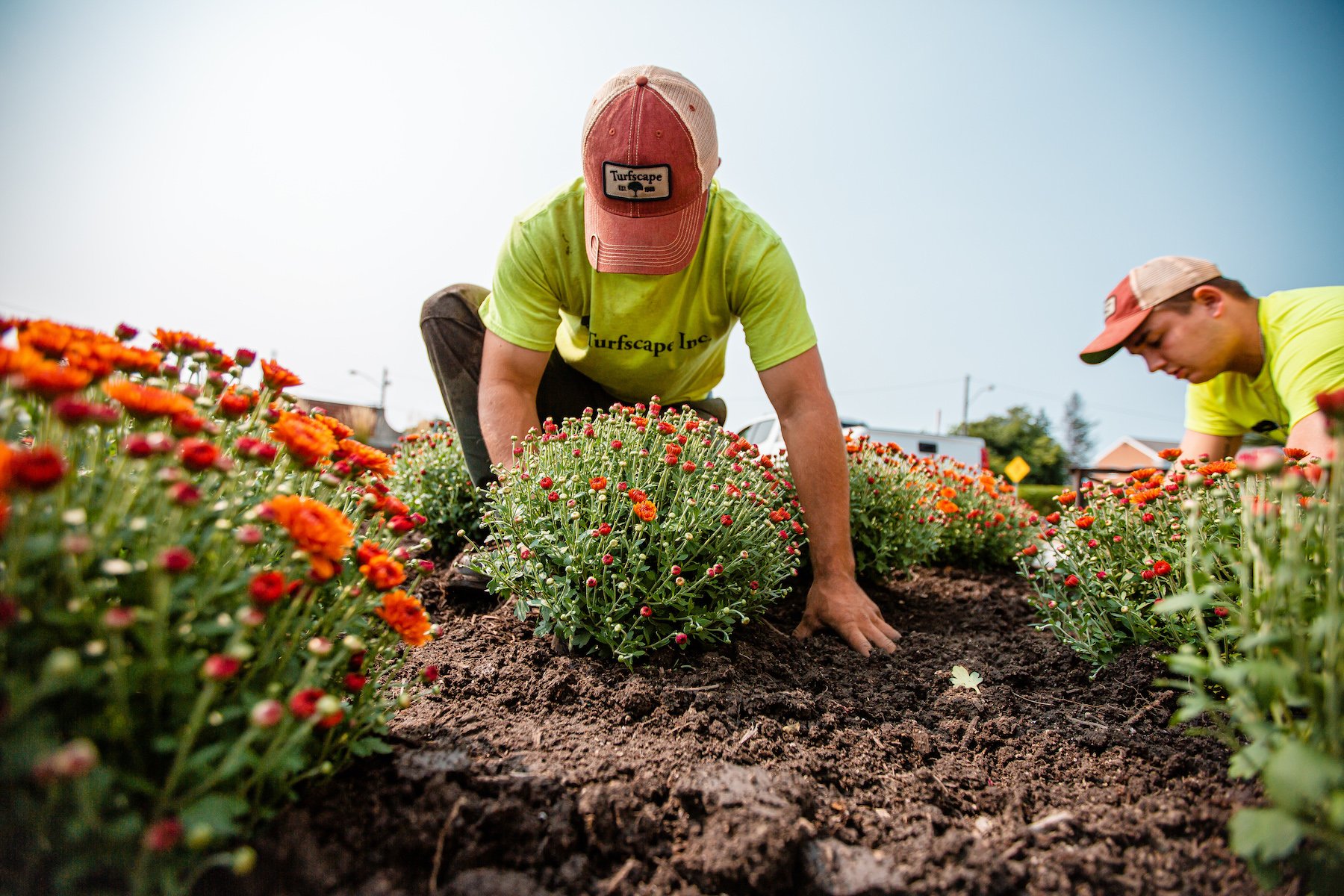 Commercial Landscaping Services