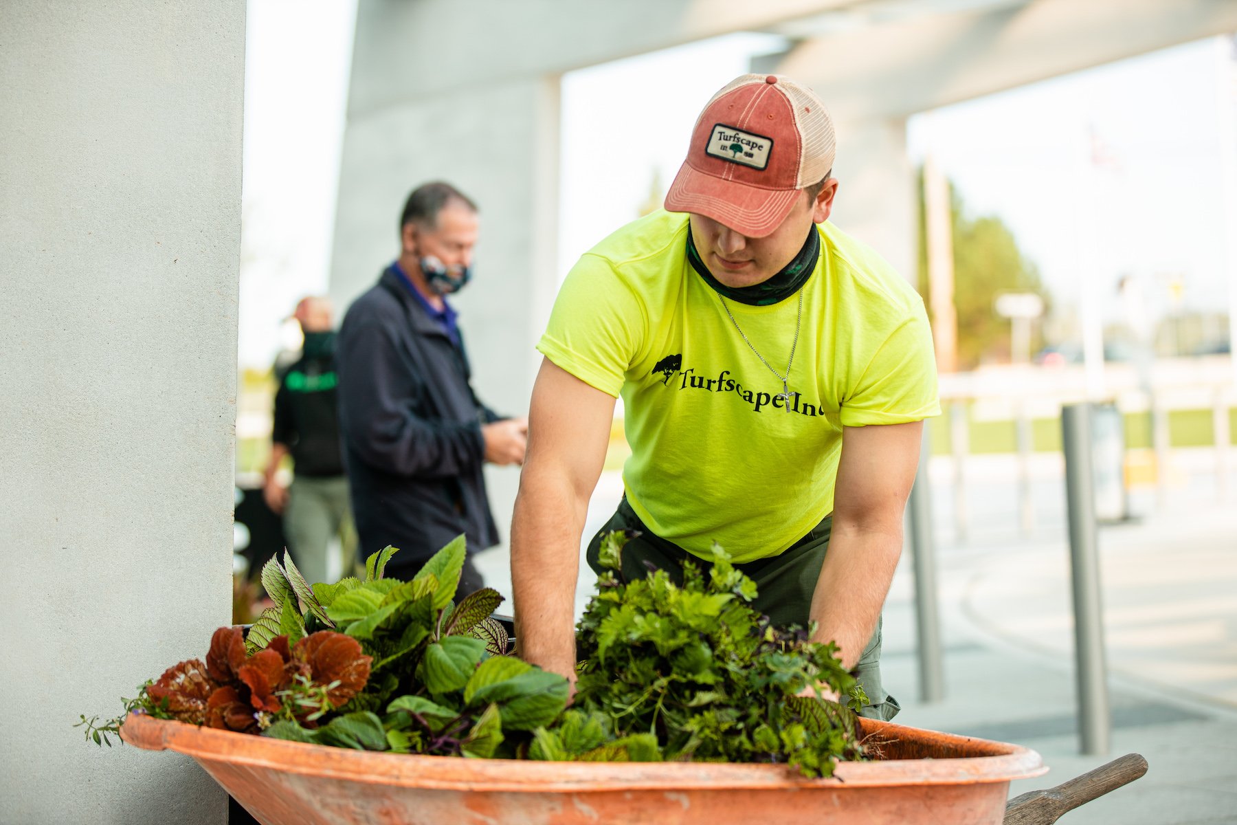 installation-plants-crew