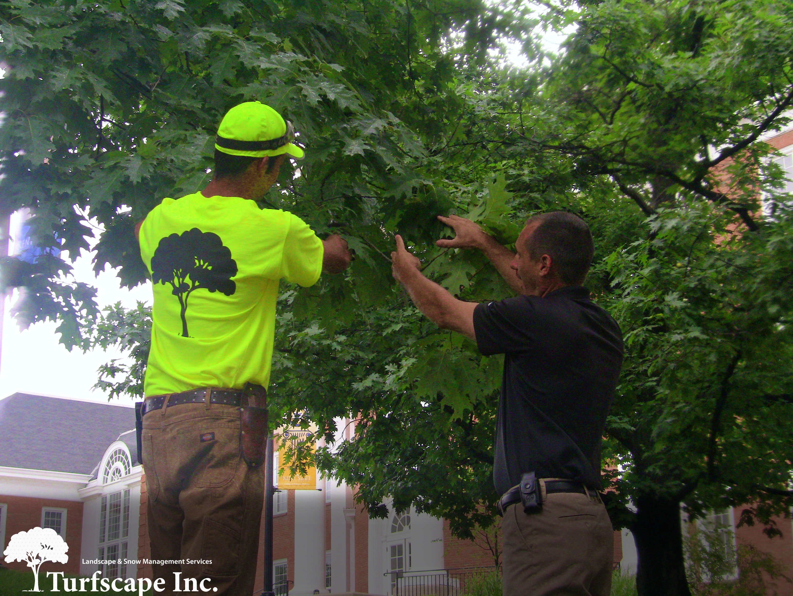 The Importance of Condominium & Homeowner Associations Incorporating An Arbor Care Program