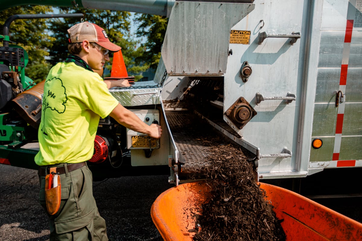 7 Common Mulching Mistakes on Commercial Properties and How to Prevent Them