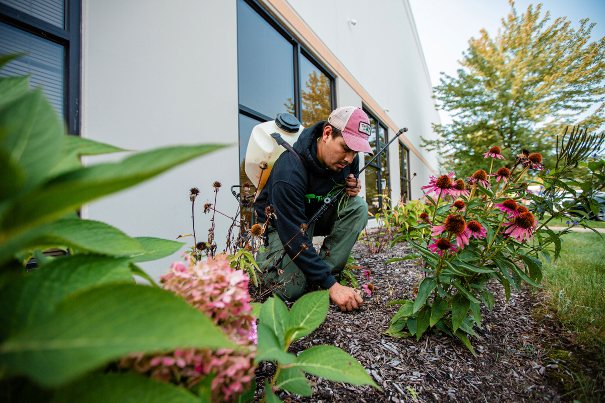 Commercial Landscaping Crew Maintenance Spraying Weeds Lawn Care Perennicals 4