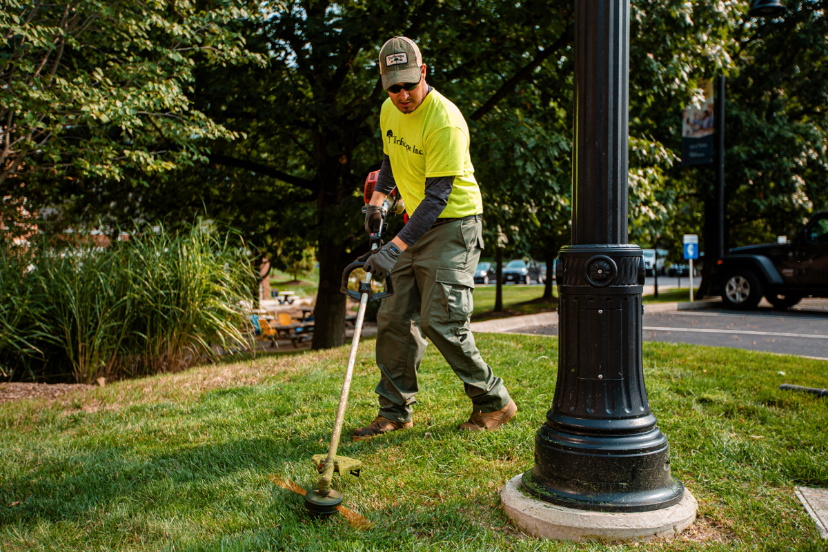 Commercial Landscaping Crew Maintenance Weedwhip Trimmer Lawn Care