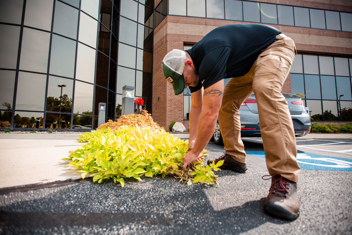 Commercial Landscaping Crew Office Building Annual Planting Maintenance