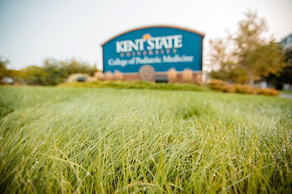 Commercial Landscaping Kent State University College Sign Landscaping Plants Lawn 2