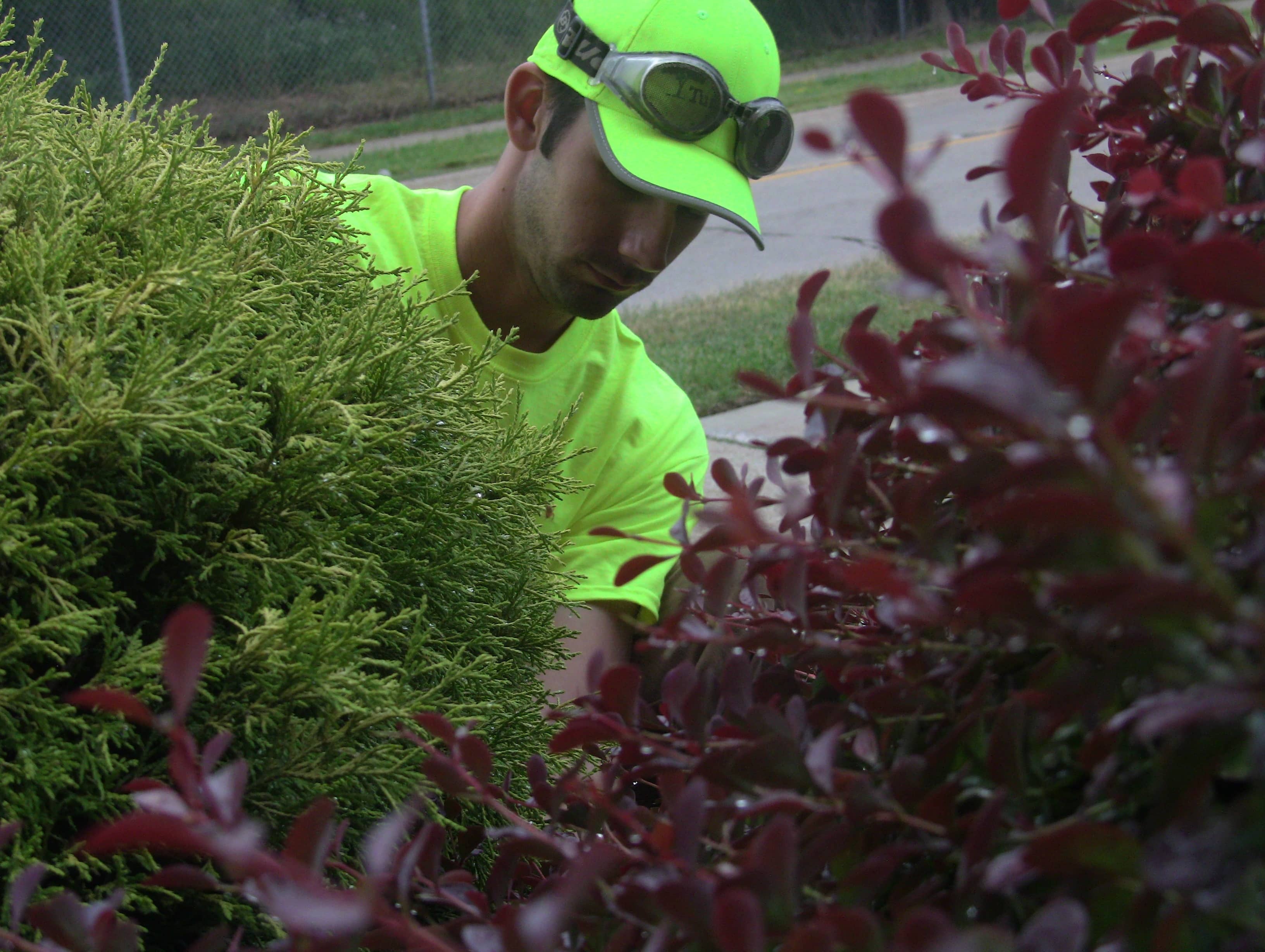 Why You Should Be Thinking About Grounds Maintenance Year-Round