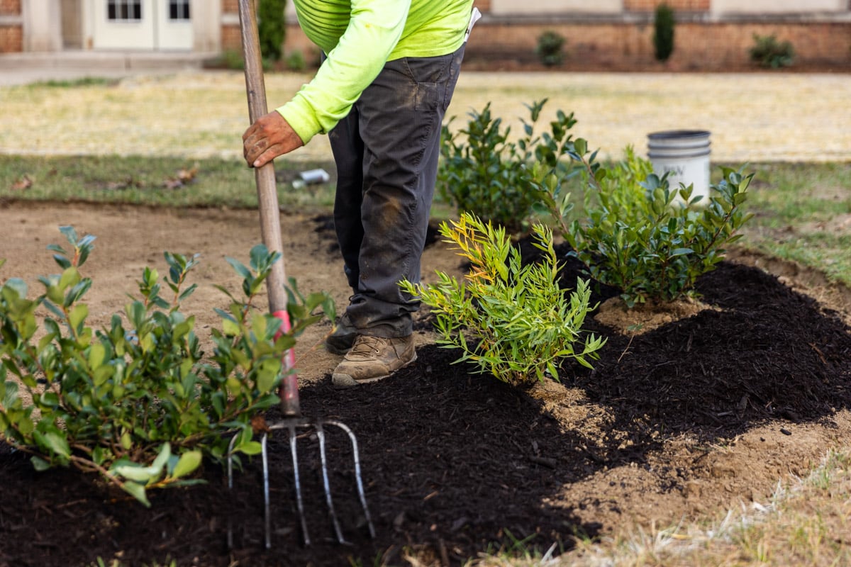 7 Ways Landscape Companies Can Reduce Your Property's Carbon Footprint