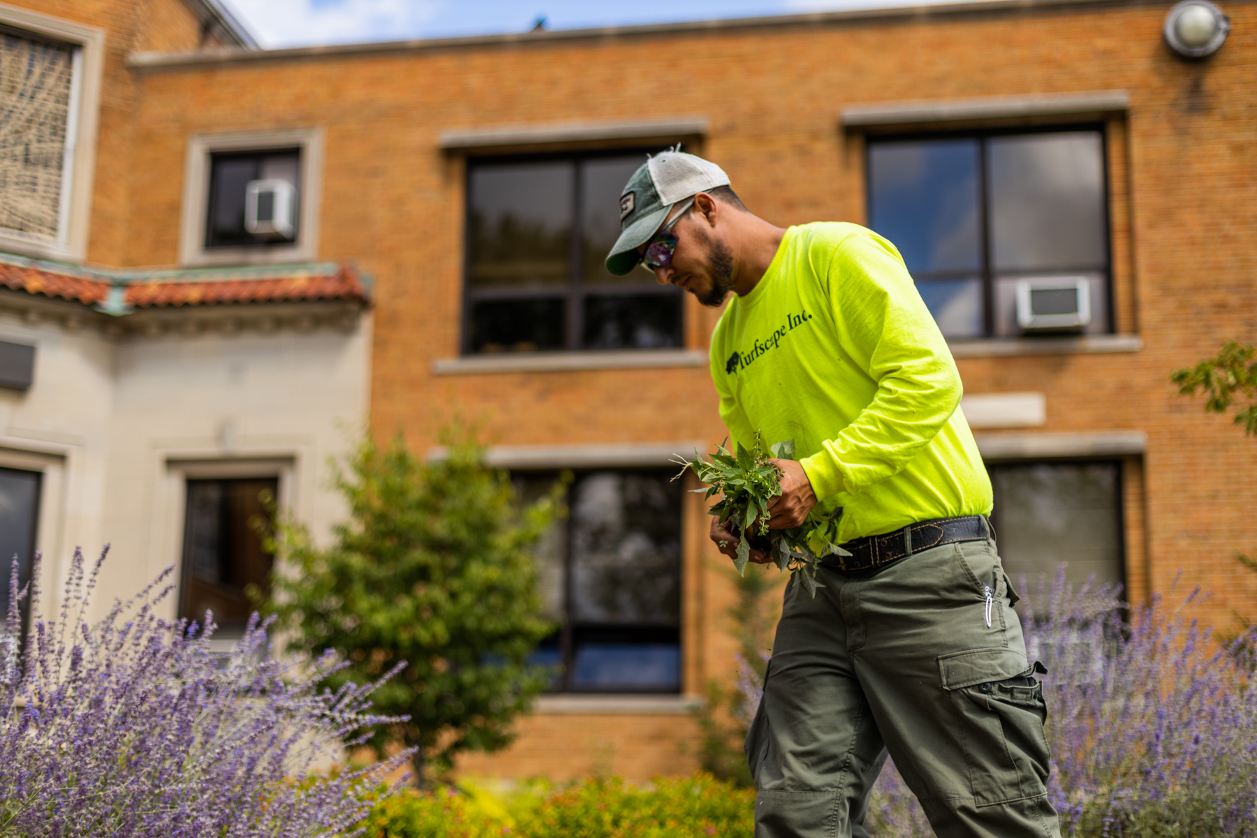 Crew pulling weeds near commercial building