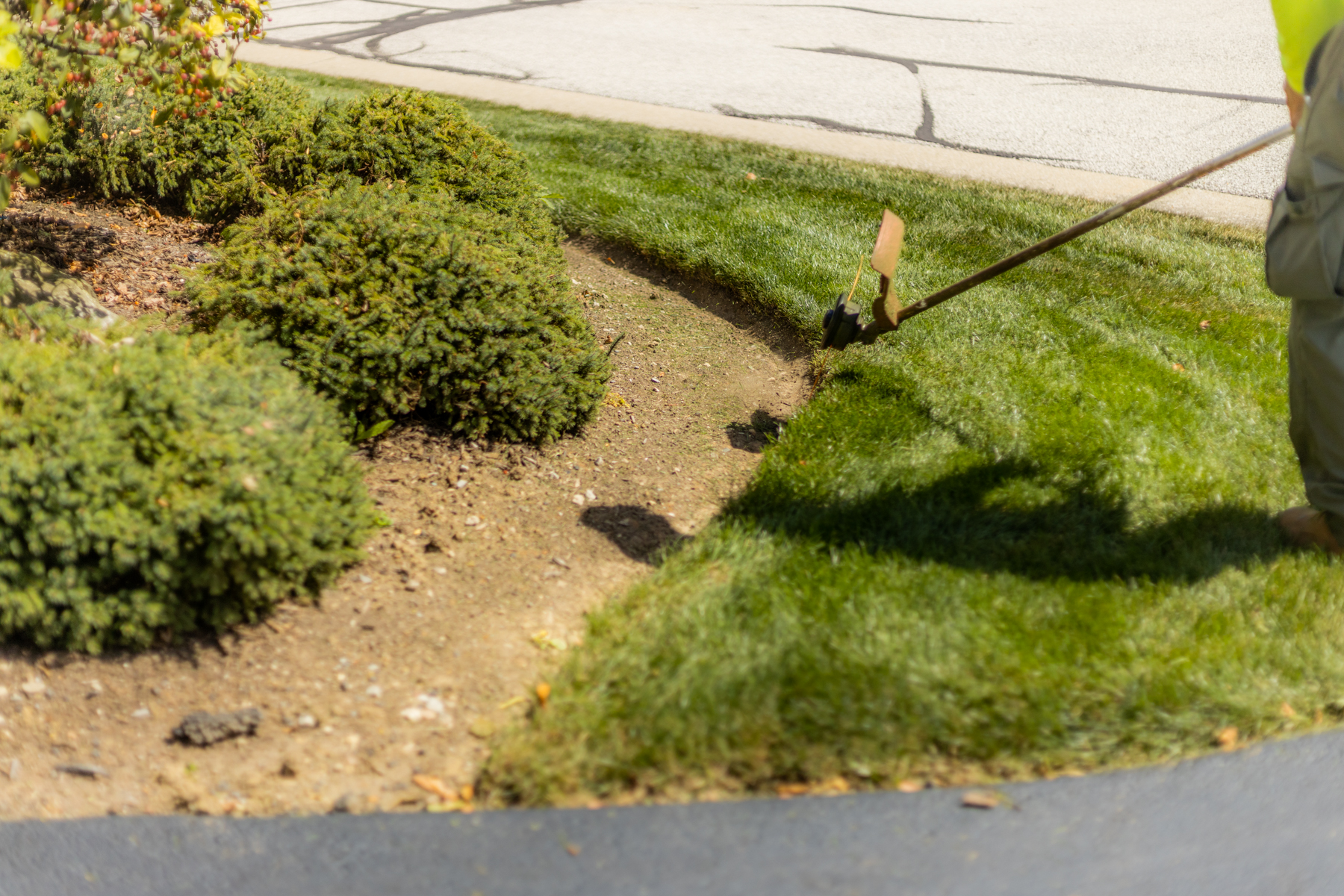 Edging flowerbed 2