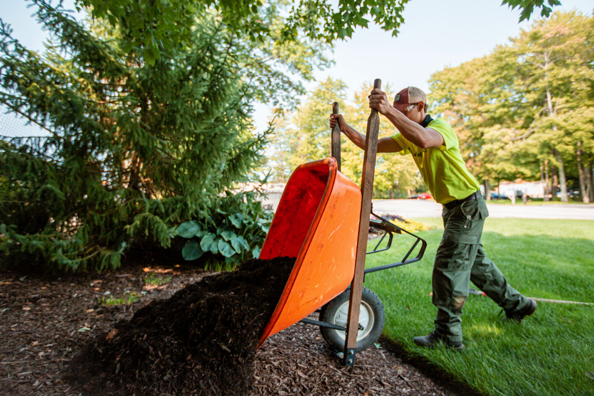 The Best Mulch for Your Landscaping Needs