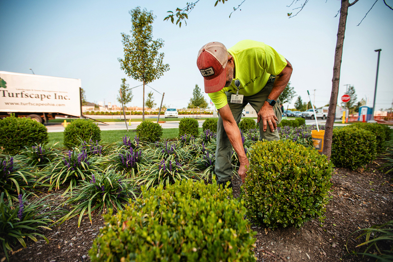 Landscaping Ideas For Industrial Properties & Warehouses in Northeast Ohio