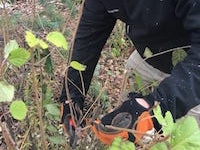 Five Commercial Landscaping Improvements to Make in Winter