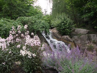 Essential Landscape Management Services for Commercial Properties