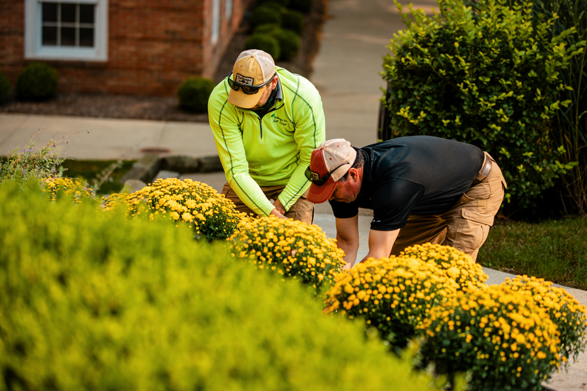7 Ways to Reinvent your Commercial Landscaping