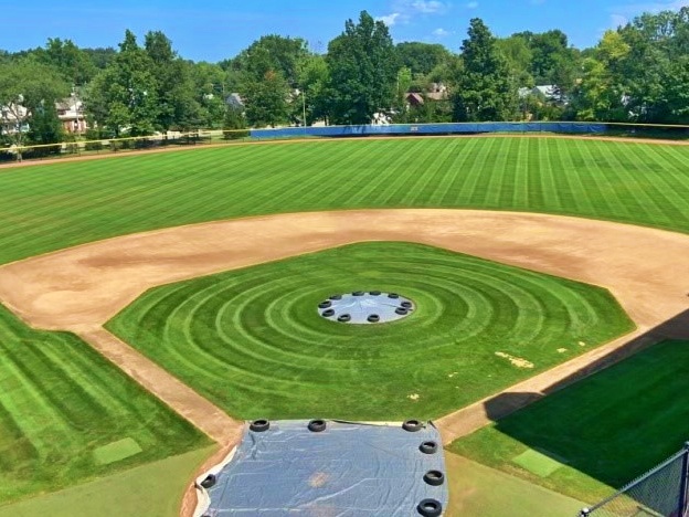 lawn art