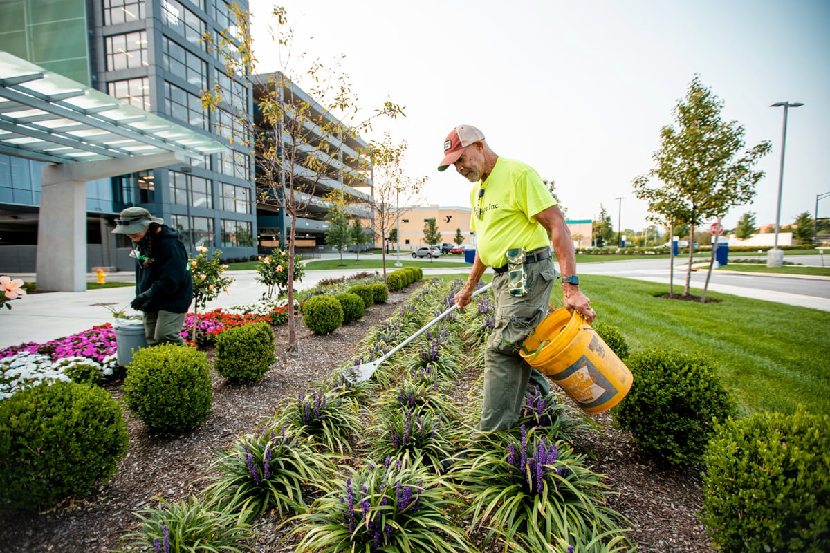 Landscaped grounds around a commercial property