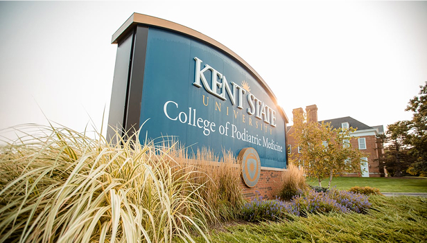 Universities & Education